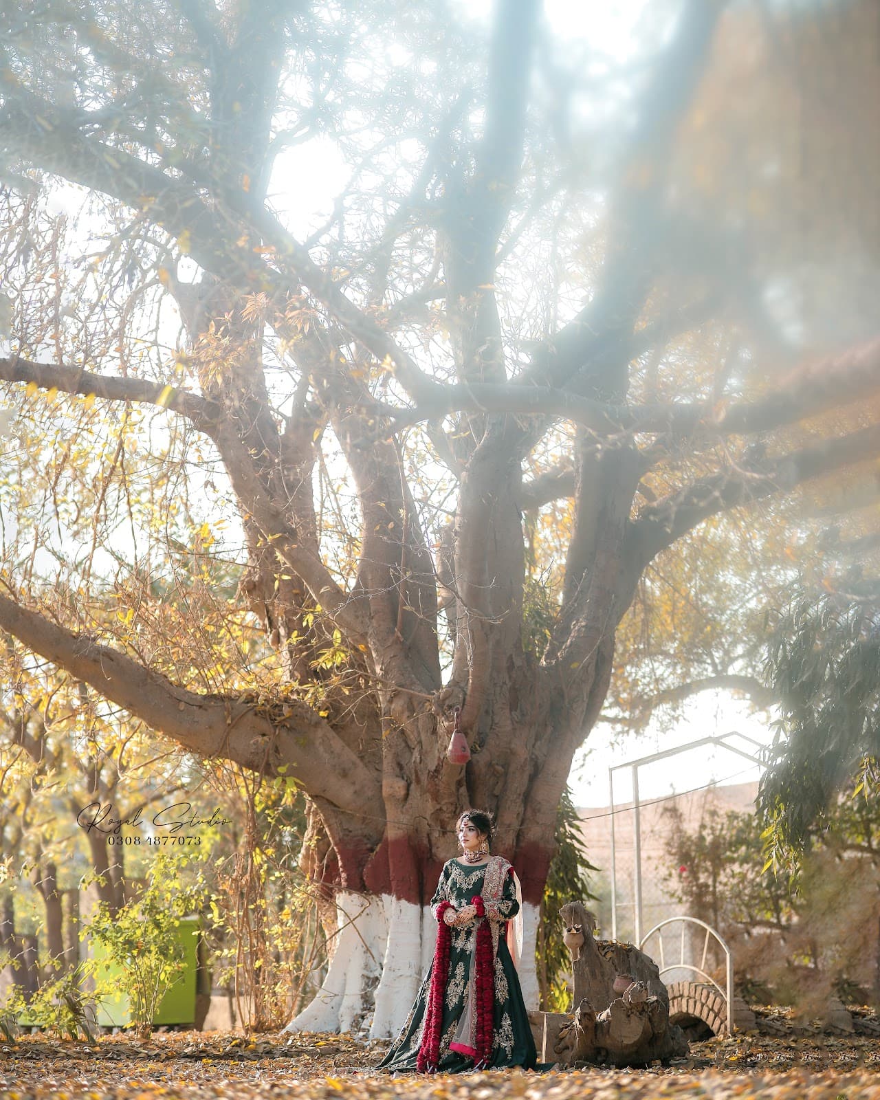 Bridal Portrait Guide: Posing, Lighting & Timing